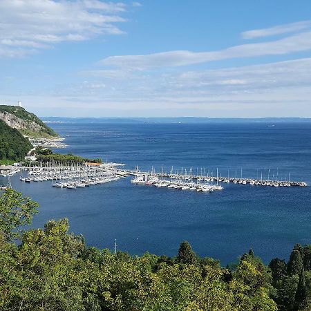 Residence Oliveto Mare Carso Sistiana Zewnętrze zdjęcie