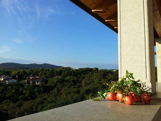 Residence Oliveto Mare Carso Sistiana Zewnętrze zdjęcie